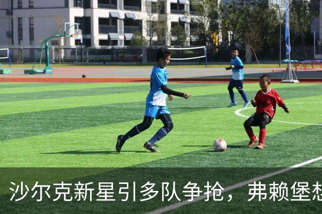 沙尔克新星引多队争抢，弗赖堡想挖人却撞上长约